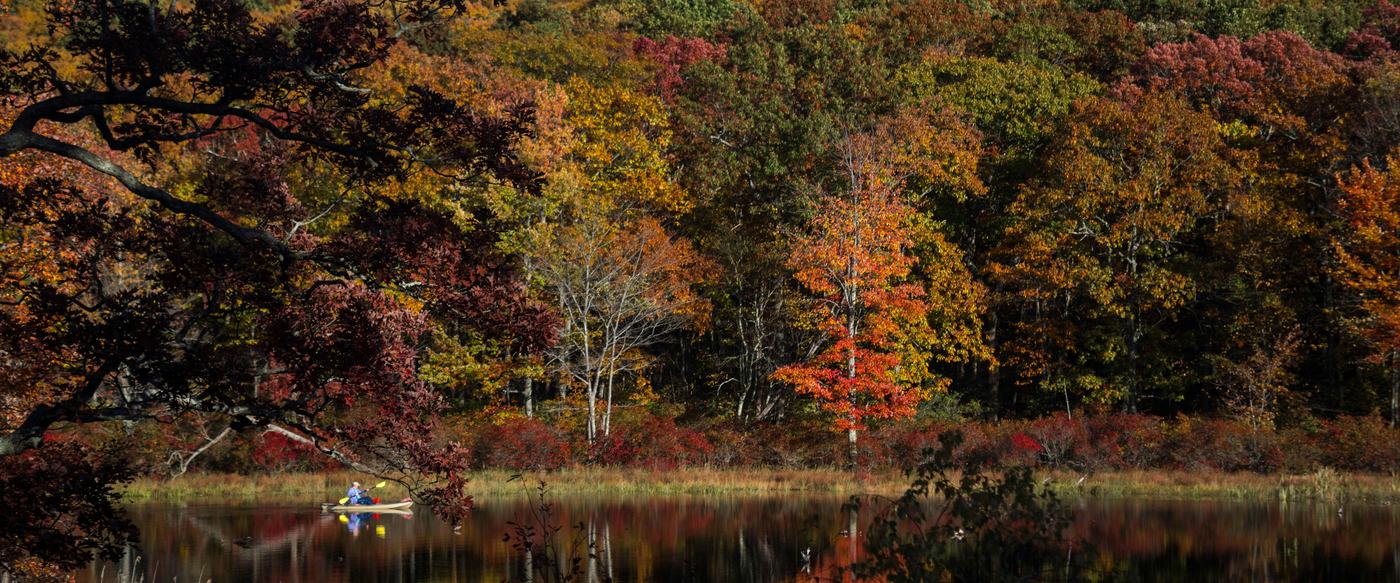 Autumn trees in red and gold reflected in a still lake, with someone paddling a kayak