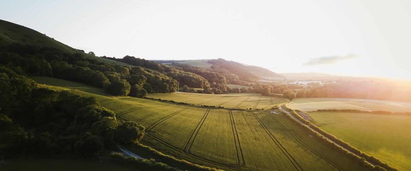 Sunlit fields and woodland below a grassy hill at the end of the day